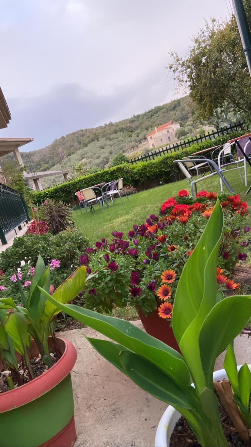 Hotel Marialena Epidaurus Ngoại thất bức ảnh